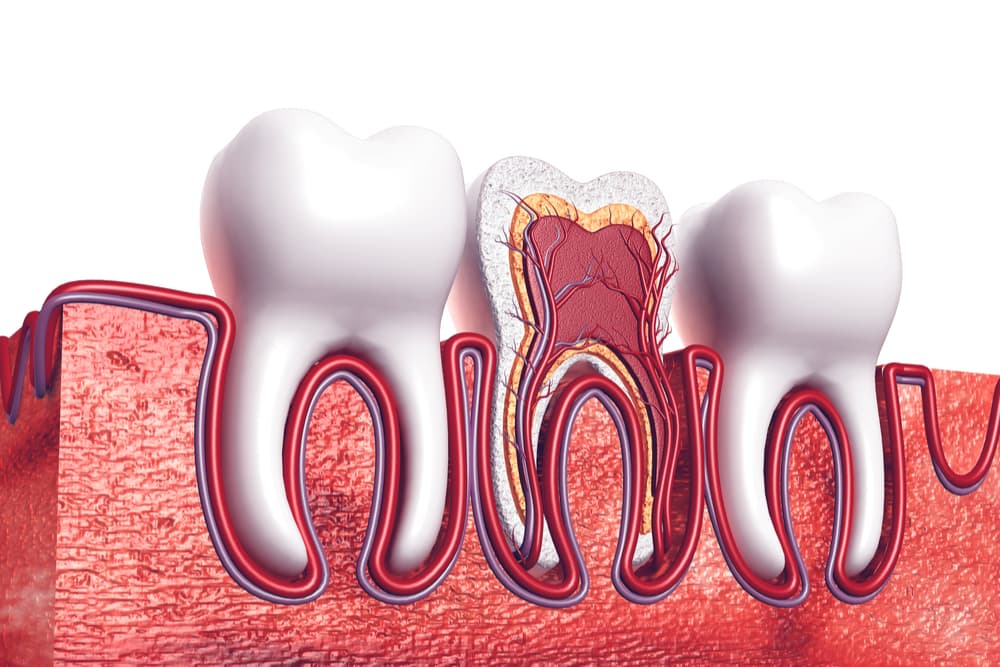 La cura canalare nella clinica dentale Grand Turismo Dentale